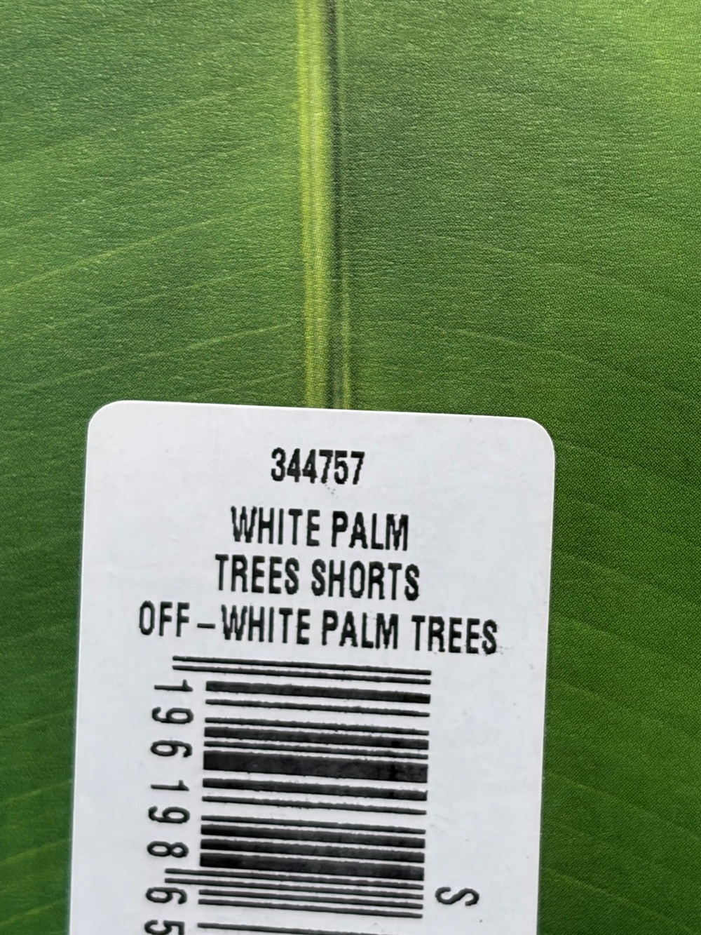 Farm Rio: WHITE PALM TREES SHORTS
OFF - WHITE - Picture 13 of 13